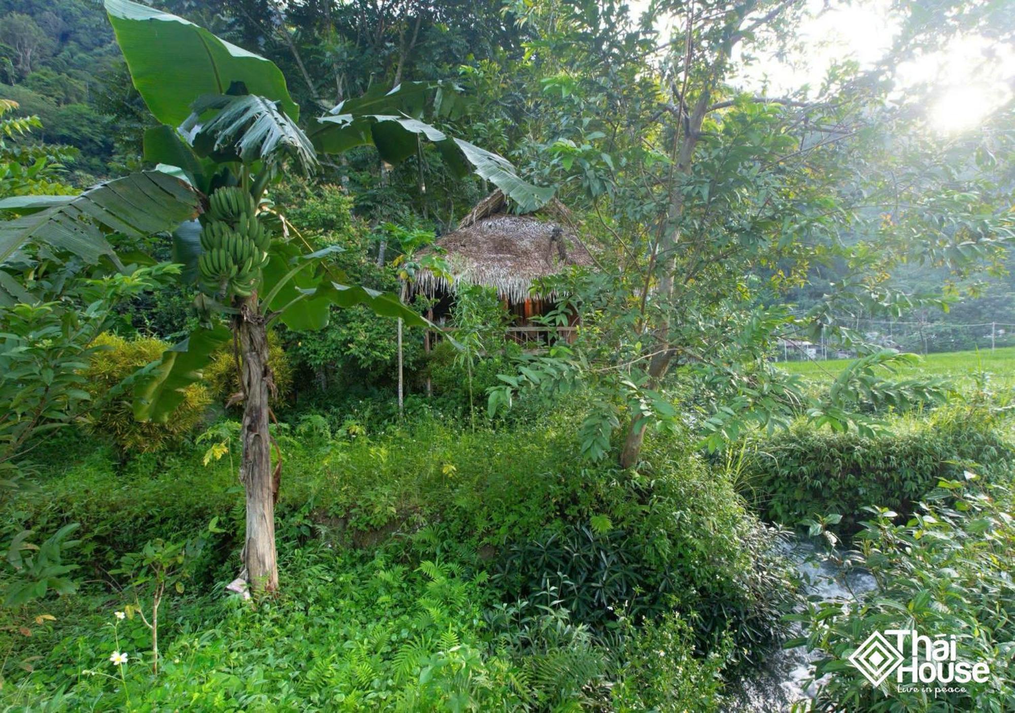 Thai House Pu Luong - Century Old Stilt House With Terrace Views Huong Ba Thuoc Buitenkant foto