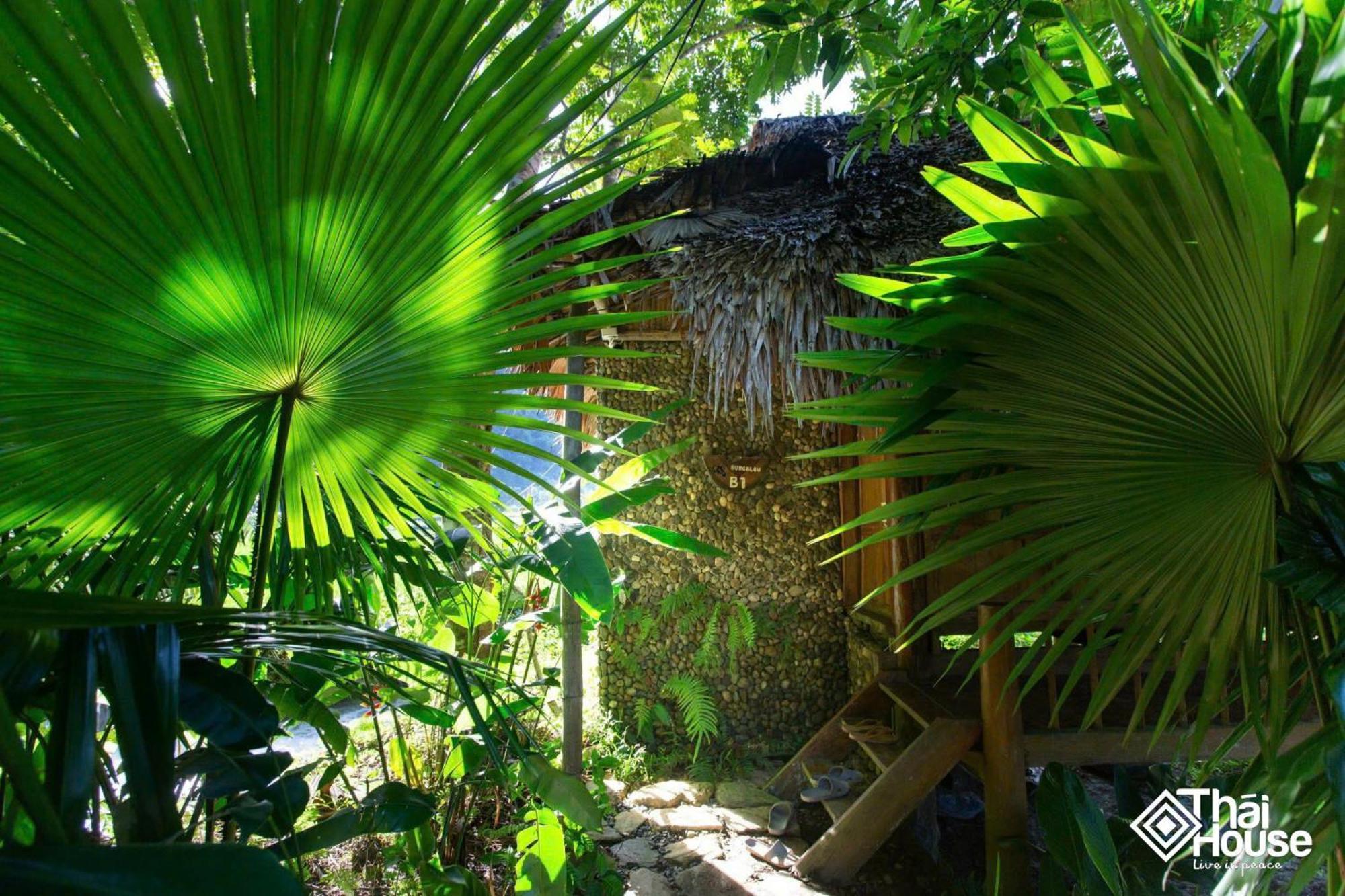 Thai House Pu Luong - Century Old Stilt House With Terrace Views Huong Ba Thuoc Buitenkant foto